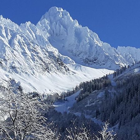 Chalets Pyrene Mont-Blanc 霞慕尼 外观 照片