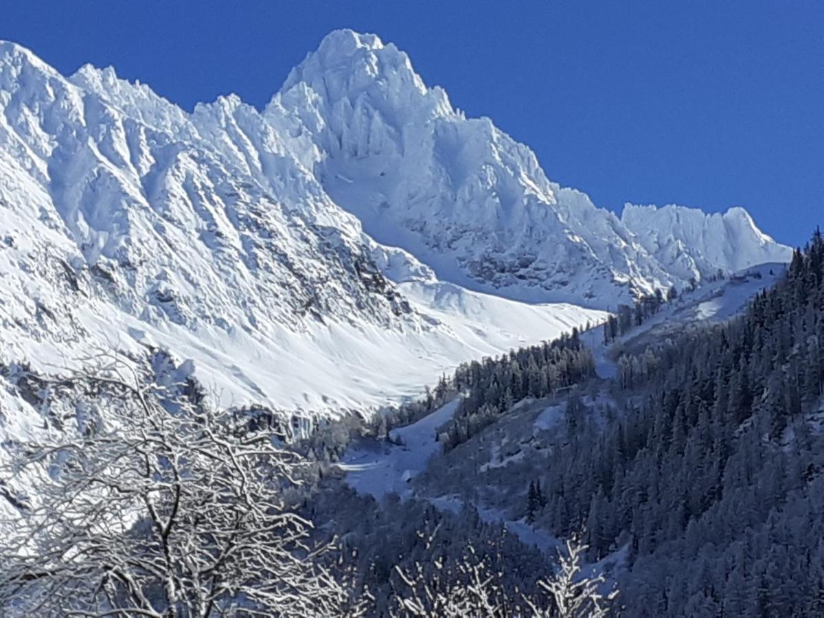 Chalets Pyrene Mont-Blanc 霞慕尼 外观 照片